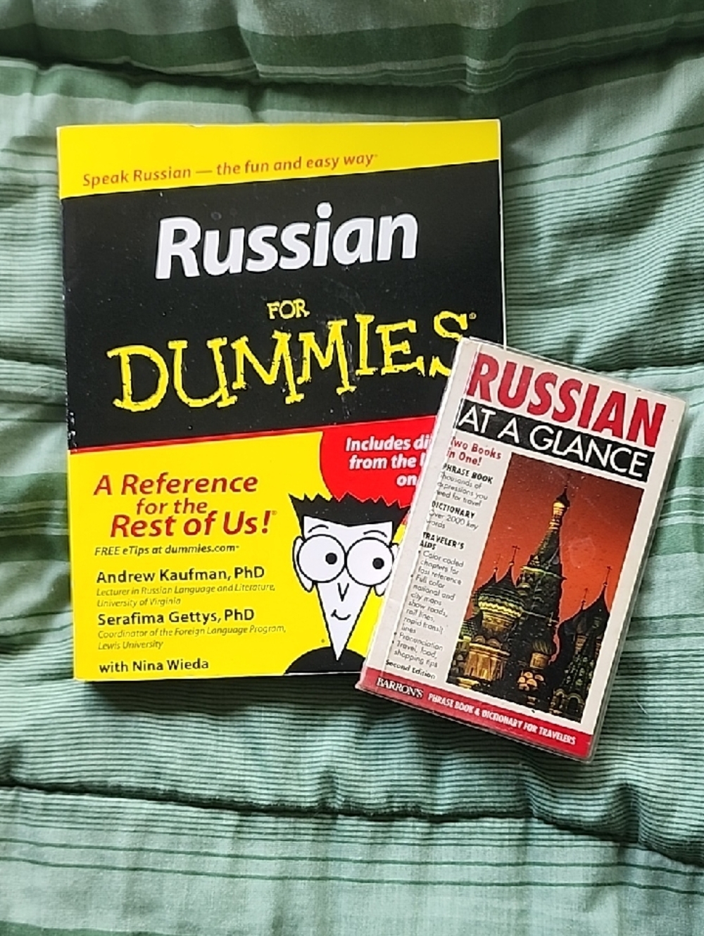 Russian For Dummies + Russian At A Glance - Textbooks